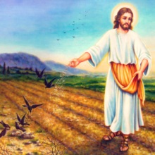 Sower