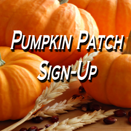 Pumpkin-Patch-Sign-Up