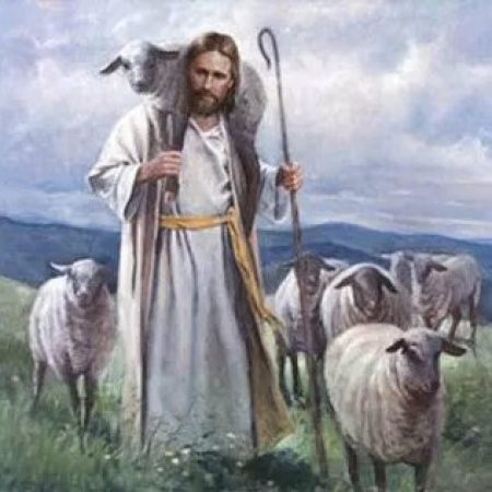 Good Shepherd
