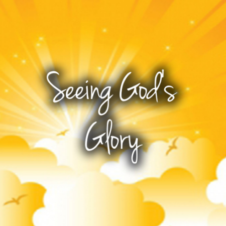 Seeing God's Glory