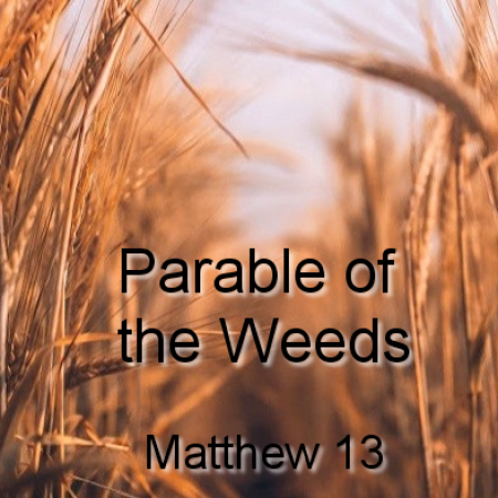 Parable of the Weeds