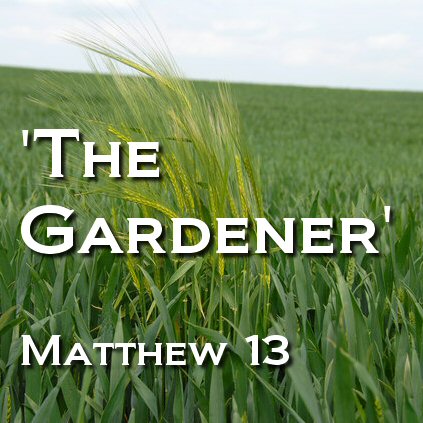 Matthew 13 - The Gardener