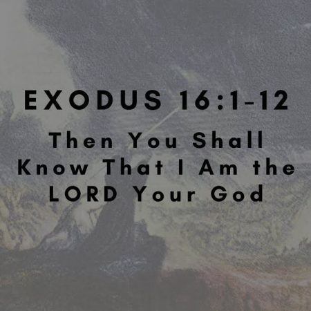 Exodus 16